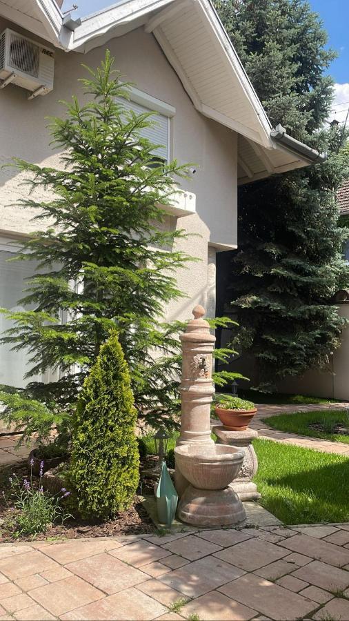 Апартаменти La Casa Tamaris Senta Екстер'єр фото